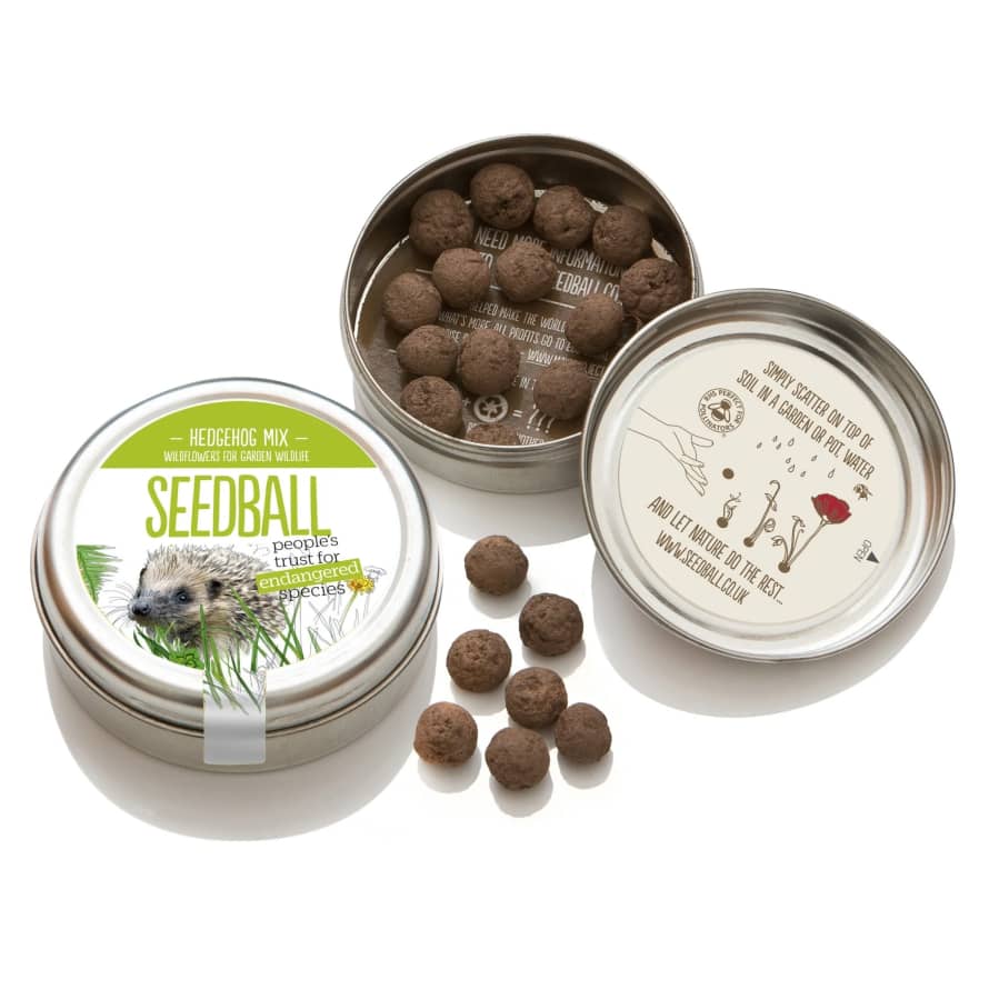 seedball Hedgehog Mix Seedball Tin