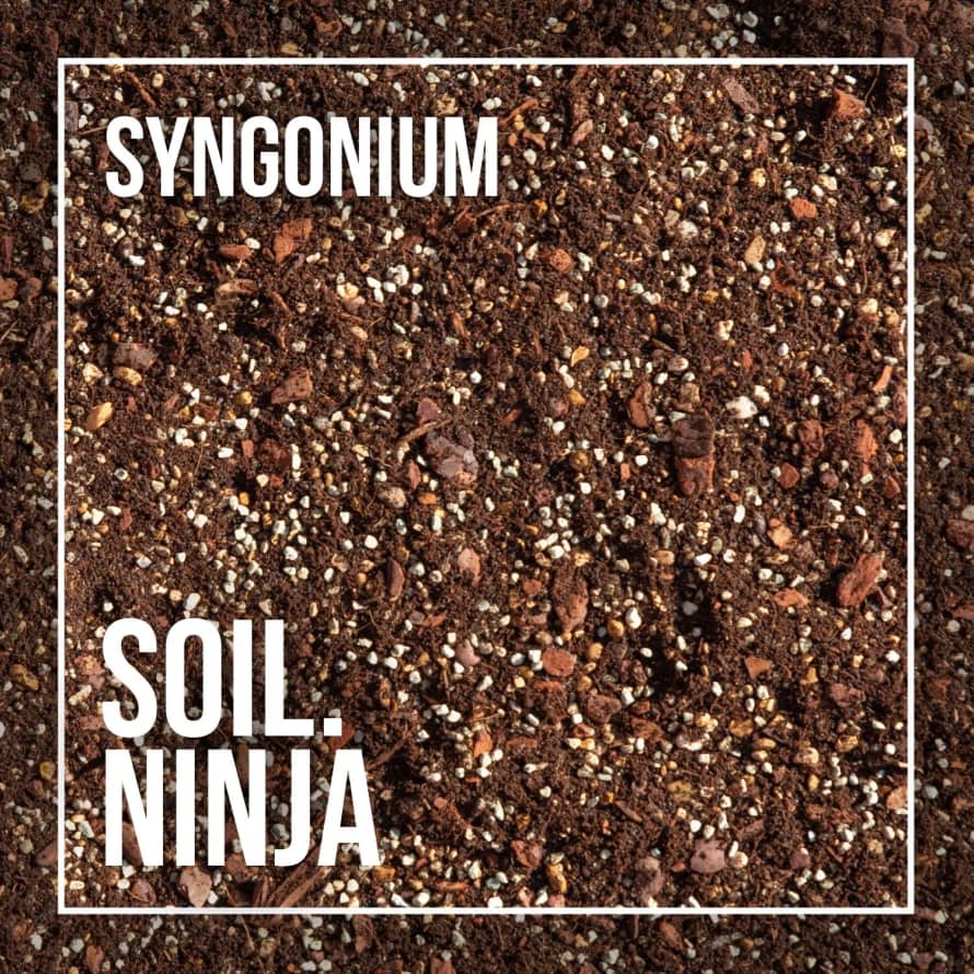 Soil Ninja 5L Premium Syngonium Soil Mix