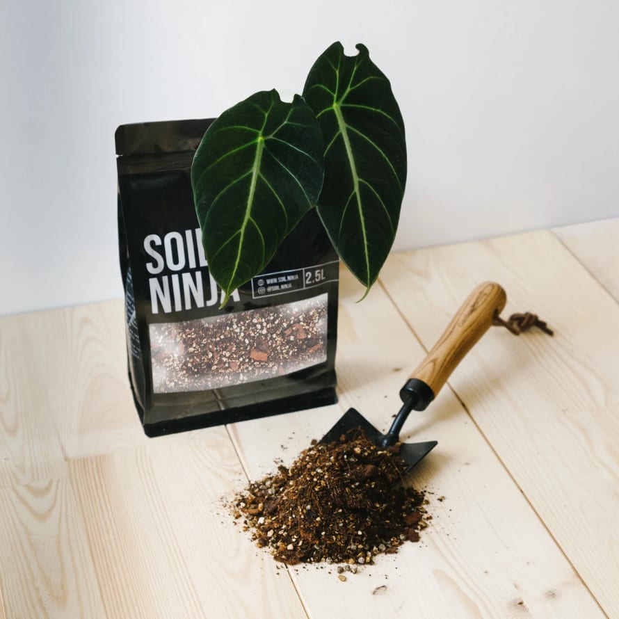 Soil Ninja 2.5L Premium Alocasia Soil Mix