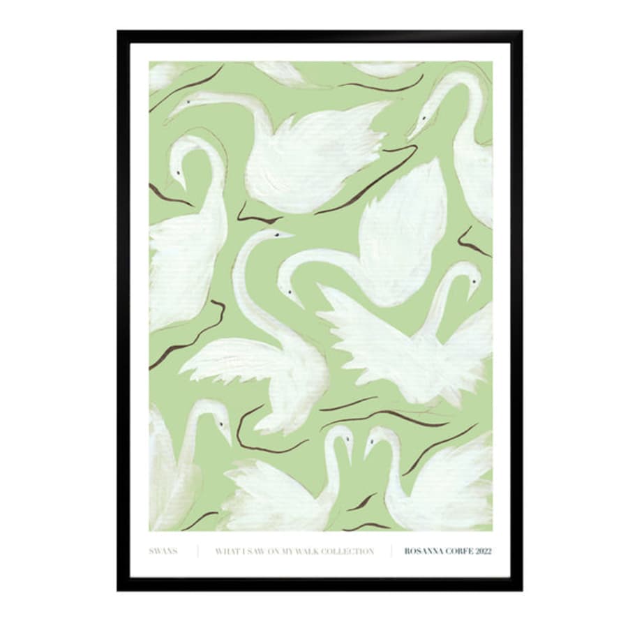 Rosanna Corfe A3 Swans Print