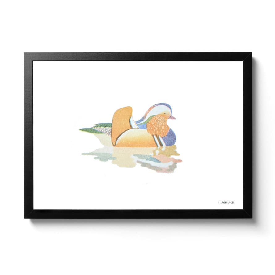 Tom Hardwick Mandarin Duck A4 Framed Riso Print