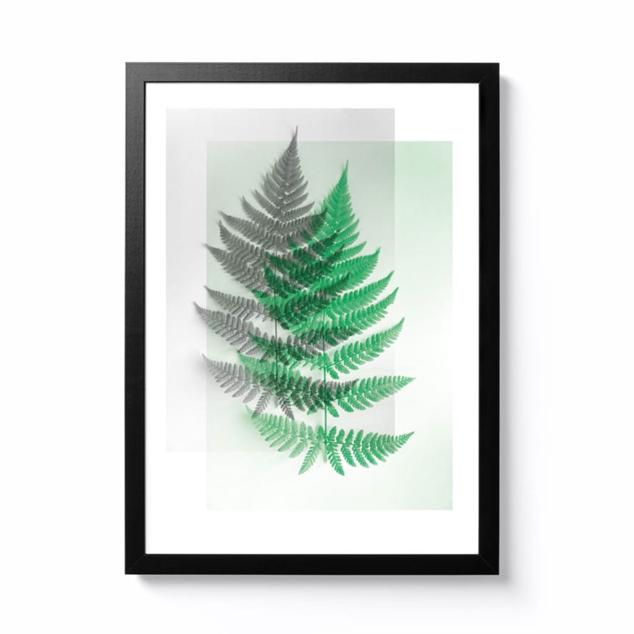 National Park Print Shop Ferns A4 Framed Print