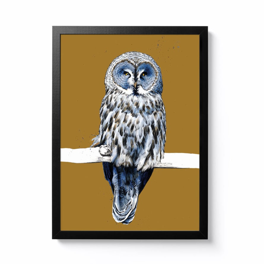 Some ink Nice A3 Great Grey Owl Framed Print