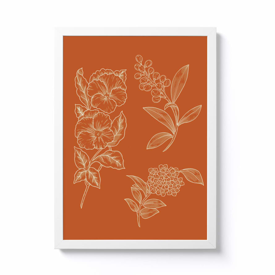 Alice Needham A3 Orange Botanical Framed Print