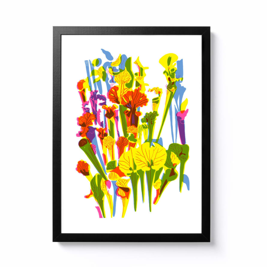 Becky Mann A3 Sarraceniaceae Framed Print