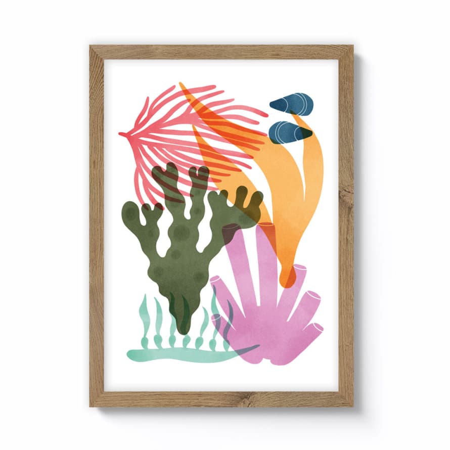 Becky Mann A3 Seaweed Framed Print