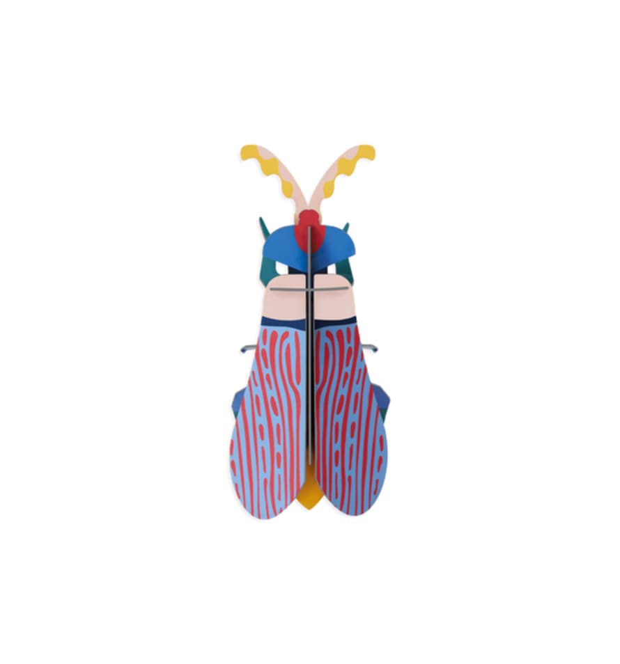 Studio Roof Striped Wing Beetle 3d Wall Decoration