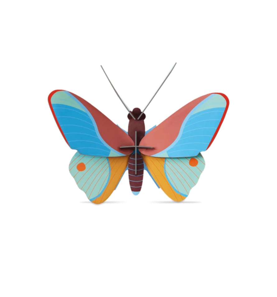 Studio Roof Claudina Butterfly 3d Buildable Wall Decoration