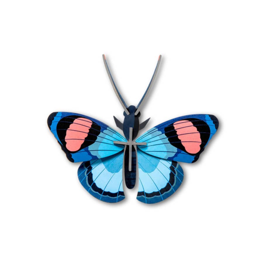 Studio Roof Peacock Butterfly 3d Wall Decoration