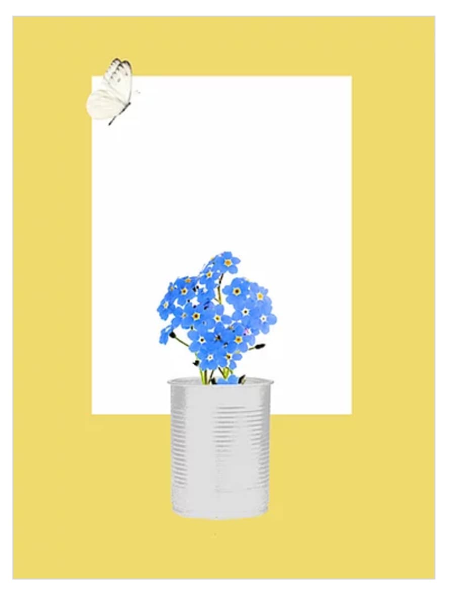 Siobhán Harton Studio A3 Delicious Yellow Forget Forget Me Not Flowers Print