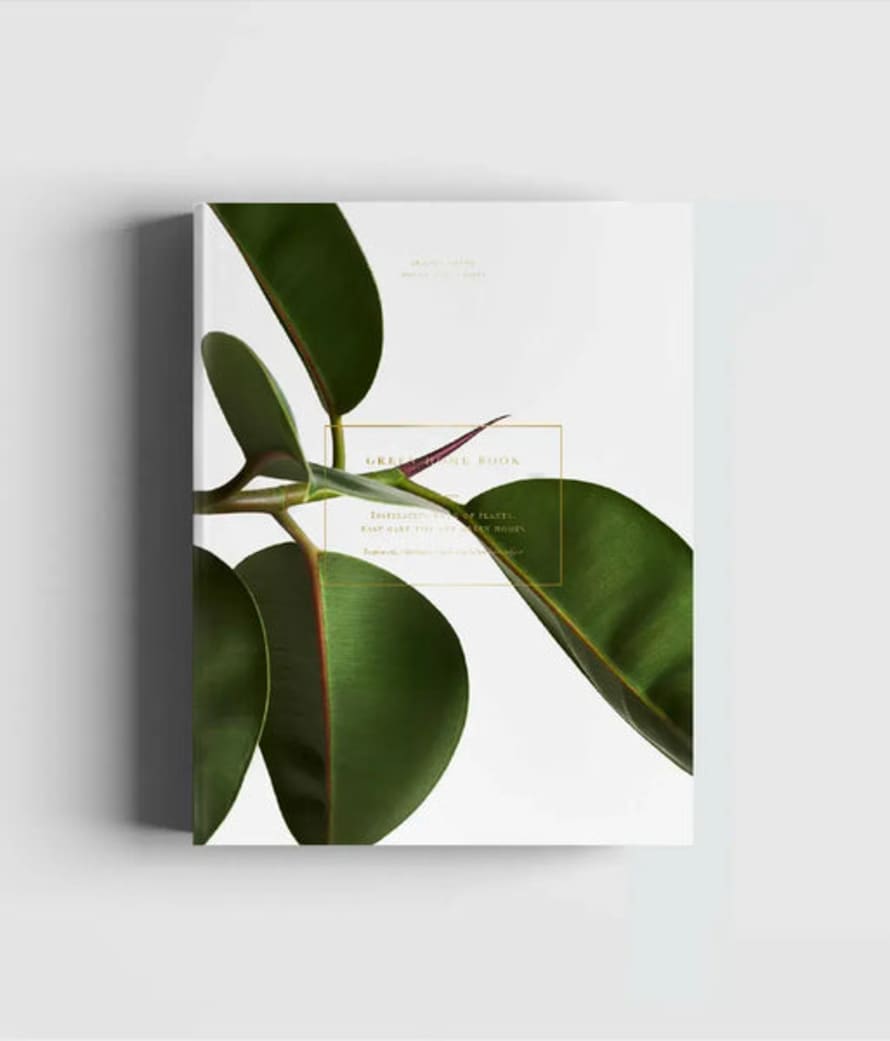Cozy Publishing Green Home Book by Susanna Vento