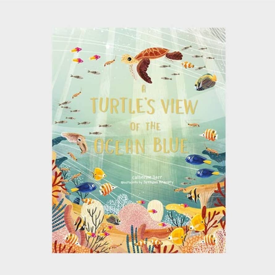 Beldi Maison A Turtle's View Of The Ocean Blue Book