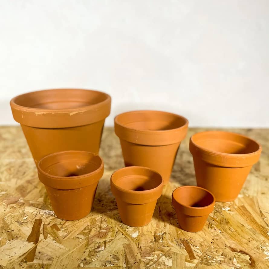 Sprouts of Bristol 31cm Terracotta Pots