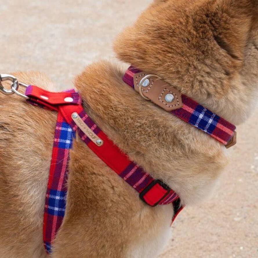 Hiro + Wolf Shuka Red Dog Collar