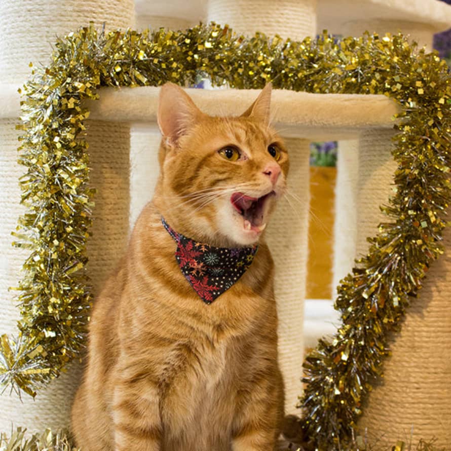 Hiro + Wolf Christmas Snowflakes Cat Bandana
