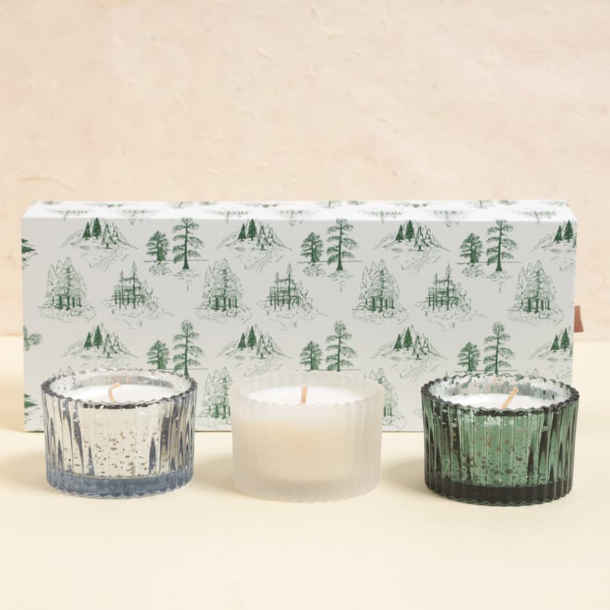 Paddywax Cypress and Fir Candles Set of 3