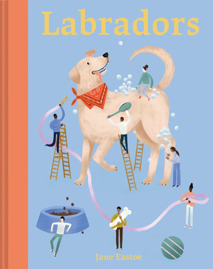 Batsford Books Labradors Book by Jane Eastoe