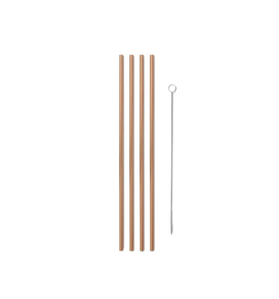 W&P Stainless Steel Metal Straw Set With Cleaner
