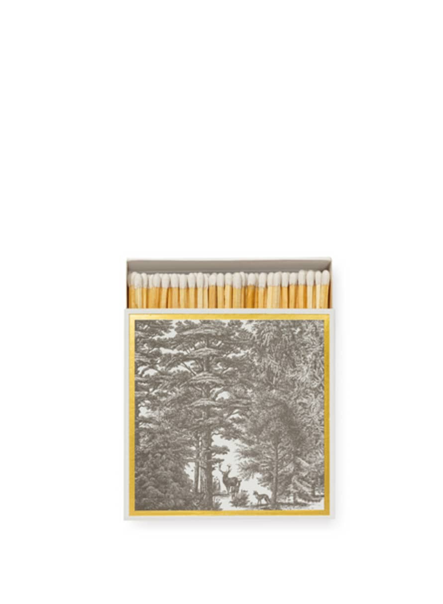 Archivist Enchanted Forest Matches
