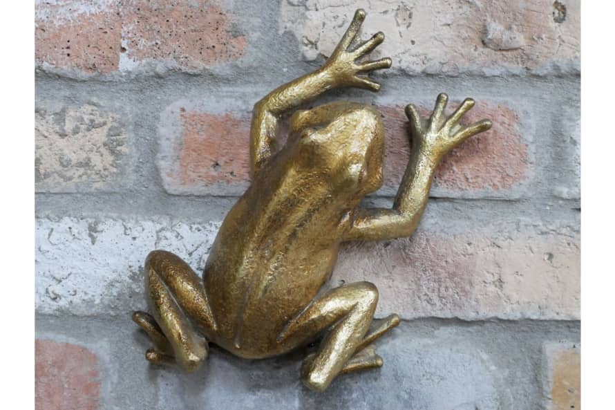 &Quirky Gold Frog Wall Decoration
