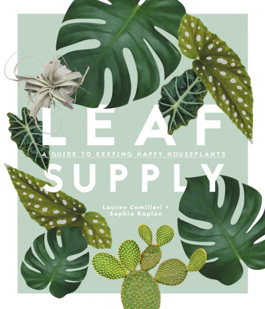 Smith Street Books Leaf Supply Book by Lauren Camilleri