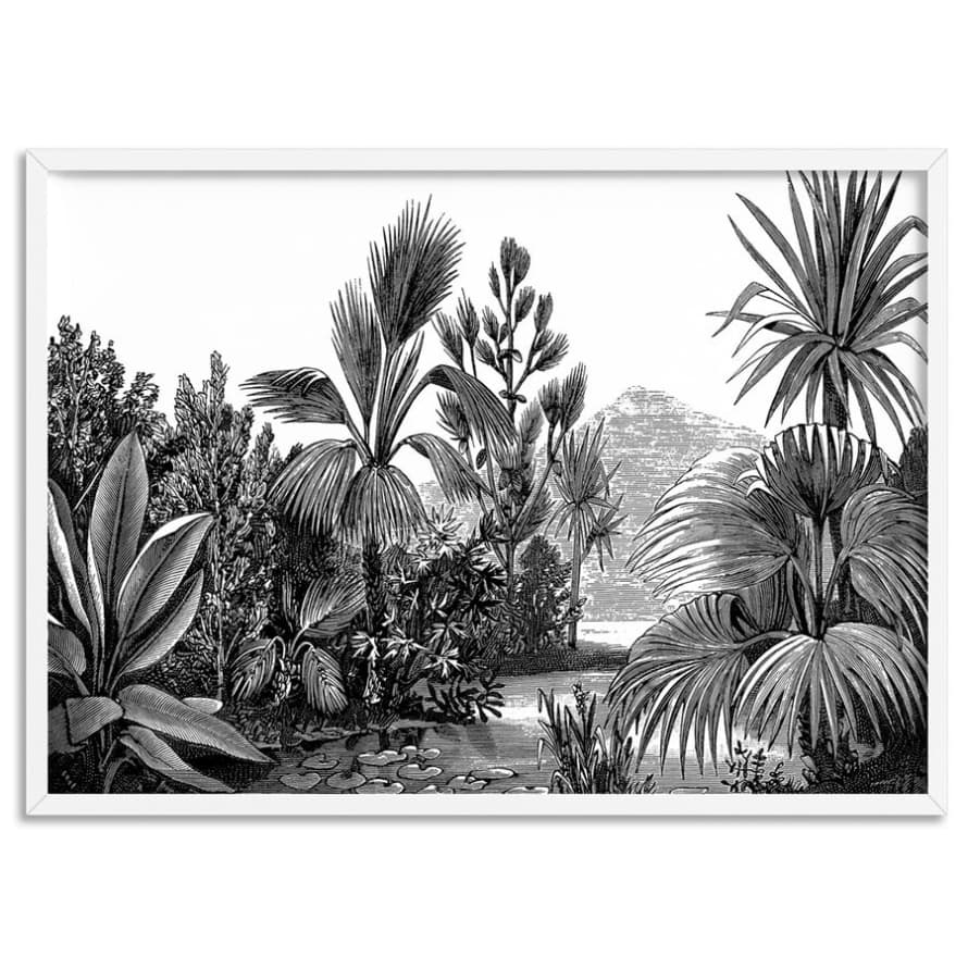 Print & Proper 21 x 30cm Vintage Botanical Illustration Framed Wall Art Print 