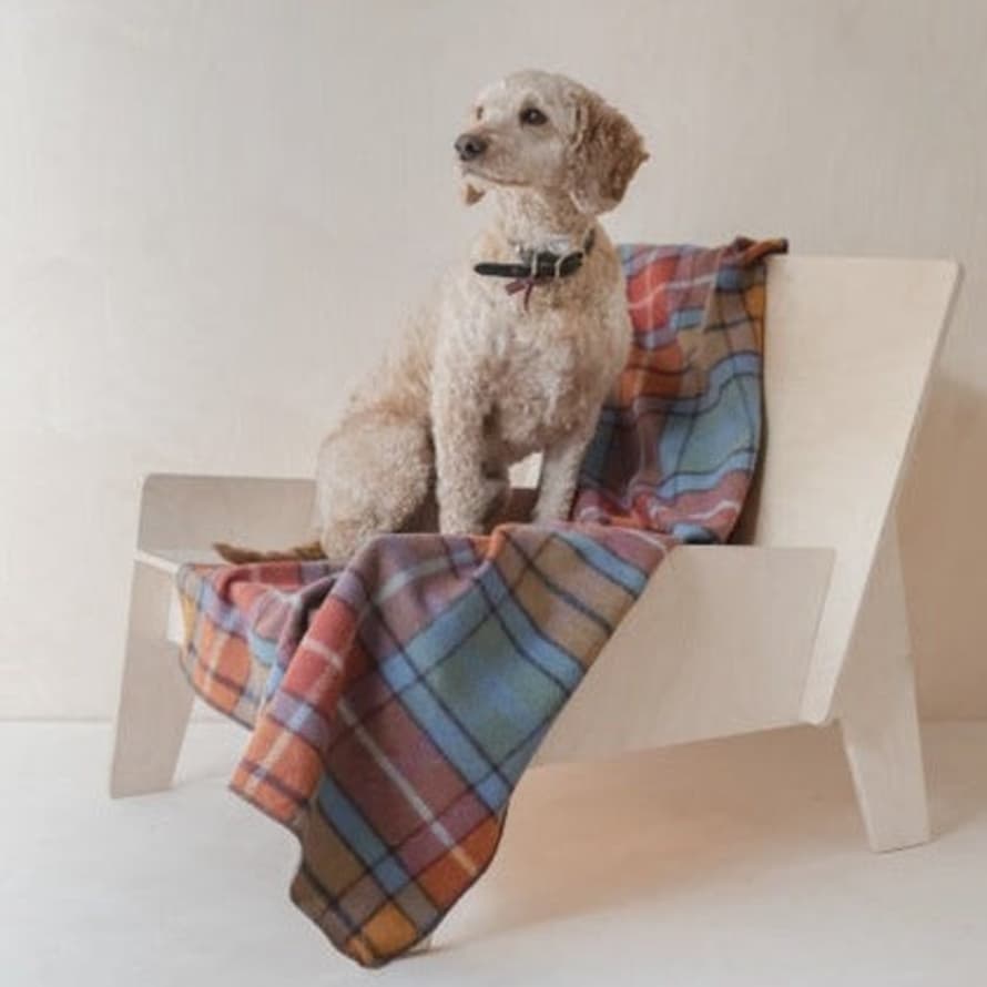 TBCo Recycled Wool Large Pet Blanket In Buchanan Antique Tartan