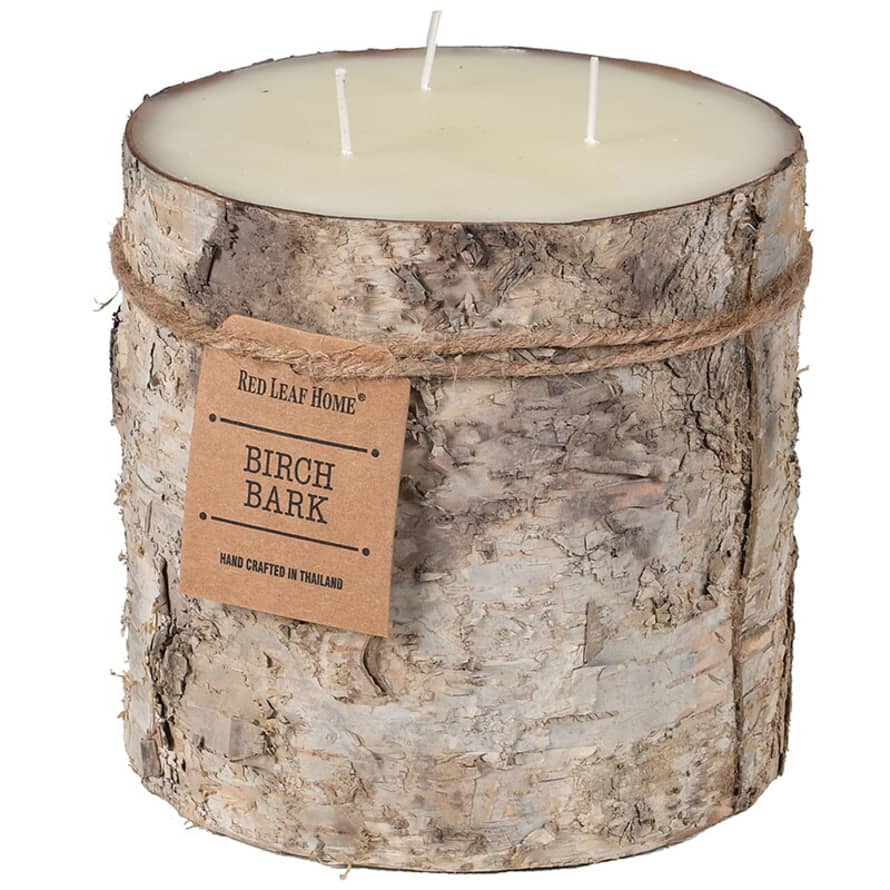 Large Birch Candle