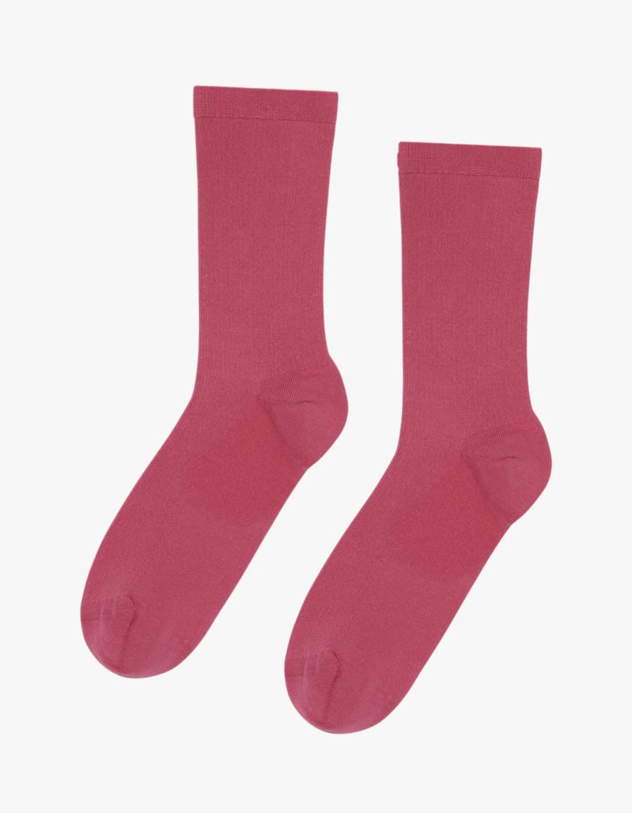 Colorful Standard CS6002 Women Classic Organic Sock Raspberry Pink
