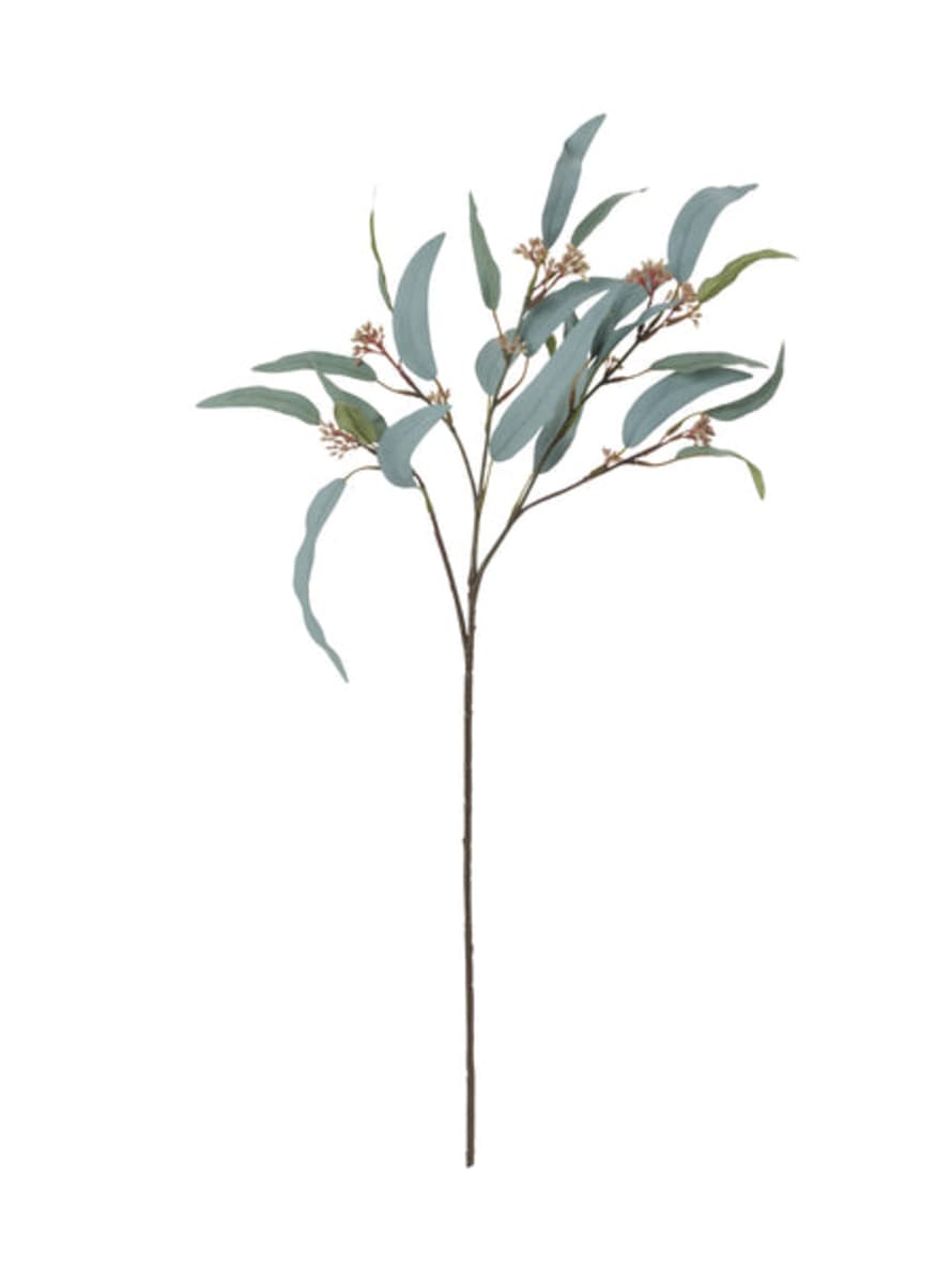 Samuel Baker Blooms Eucalyptus Nicolii Sage Faux Stem