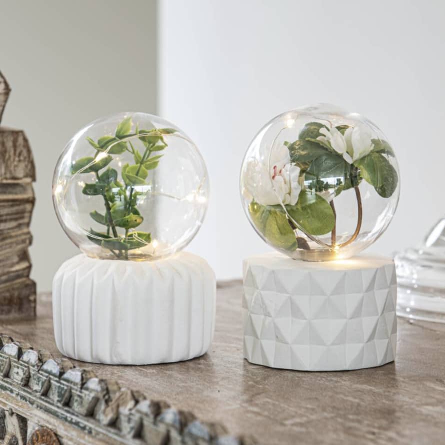 The Letteroom LED Fairy Light Plant Terrariums