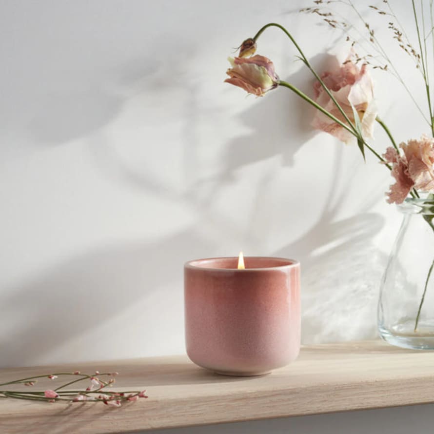 Distinctly Living Sweet Pea - Scented Candle Pot