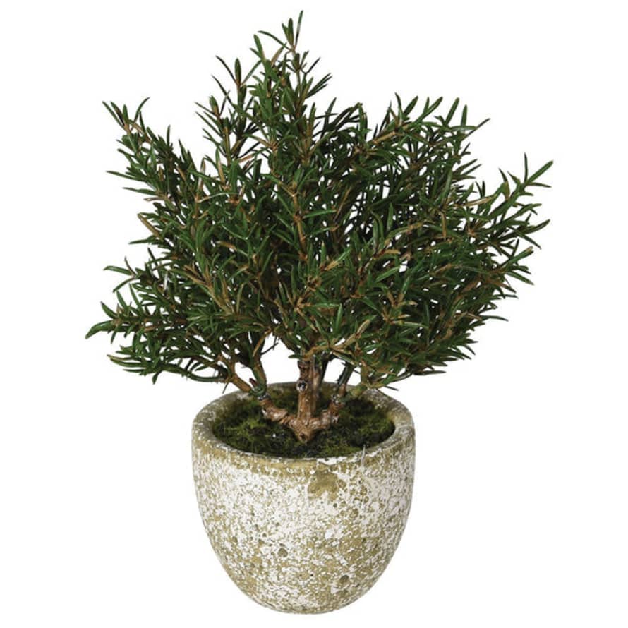 Distinctly Living Faux Potted Rosemary