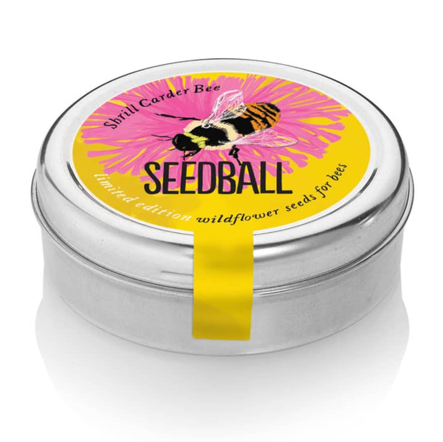 seedball Bumblebee Wildflower Tins: Yellow