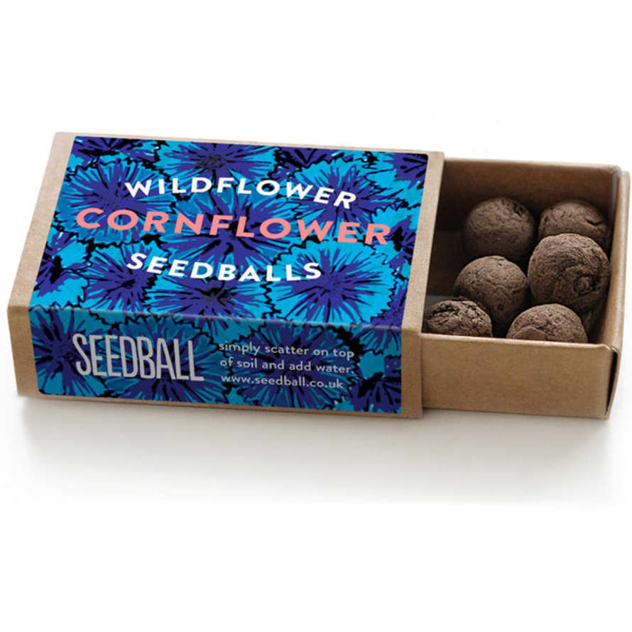 seedball Cornflower Box