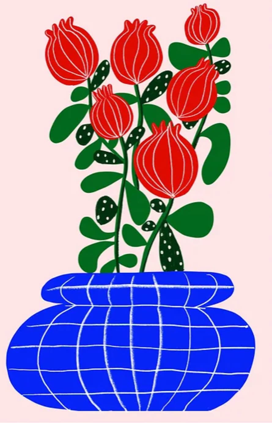 Teresa Rego A4 Pomegranate Flower Illustration Print Teresa Rego