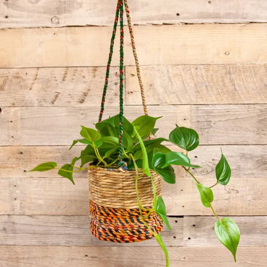 Wildlife World Artisan Cylindrical Hanging Plant Basket: Small