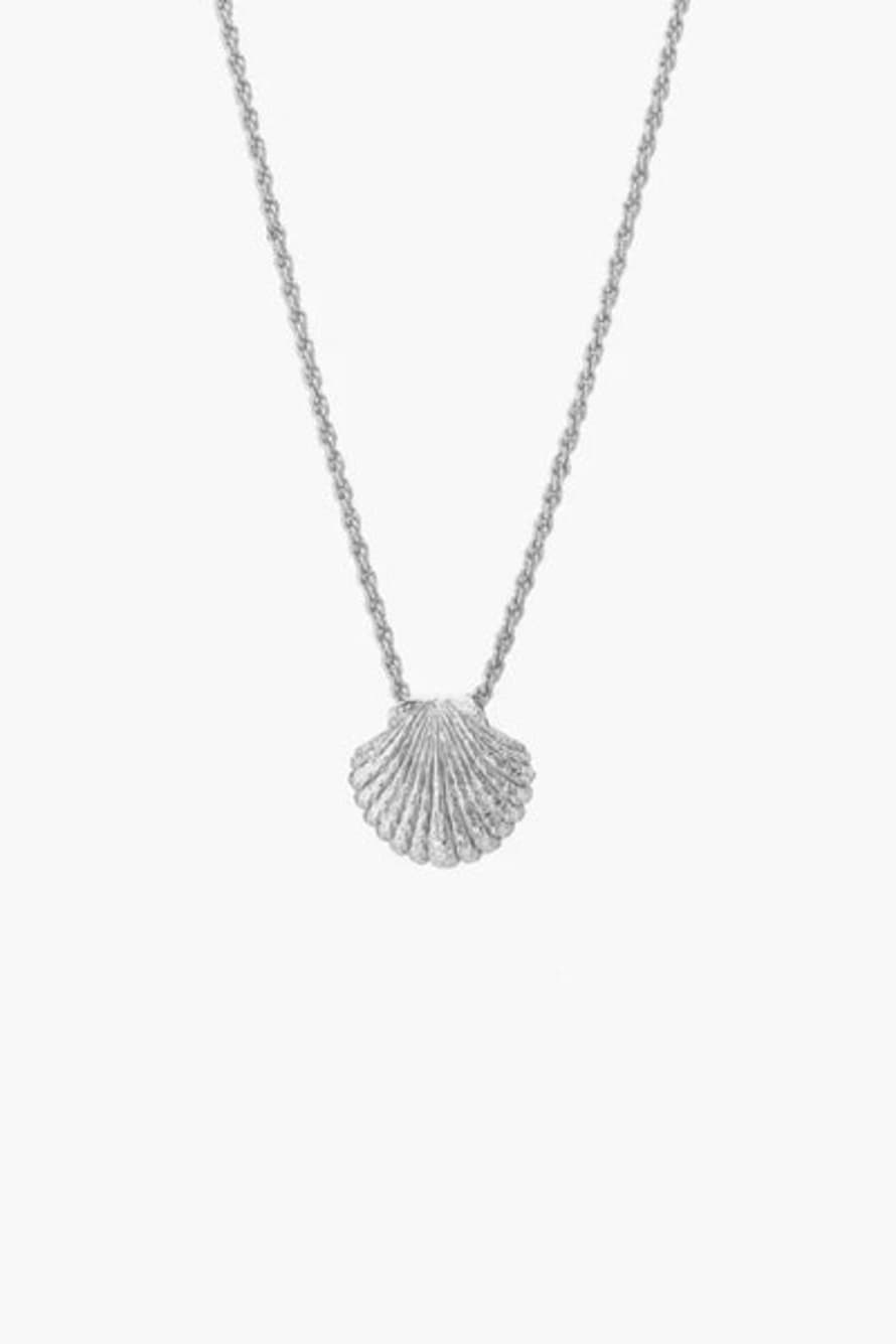 Tutti & Co Ne697s Shell Necklace Silver