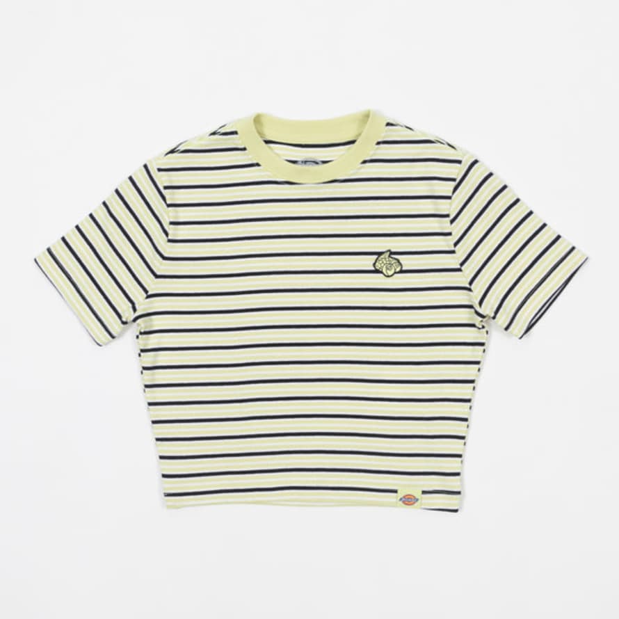 Dickies Women's Altoona Striped T-Shirt In Pale Green