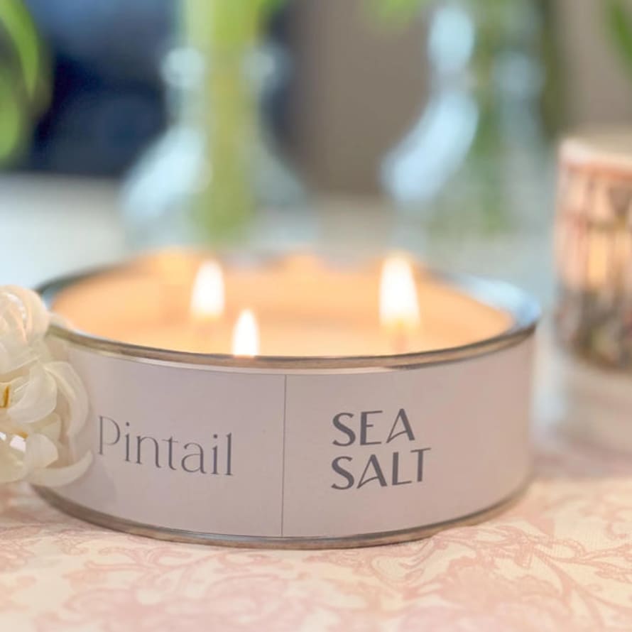 Pintail Candles Triple Wick Sea Salt Pintail Candle