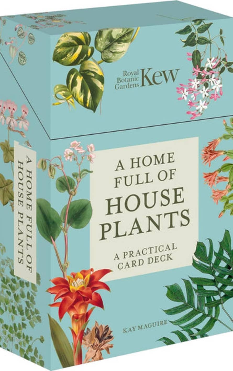 Bookspeed Home Full Of House Plants: A Practical Deck