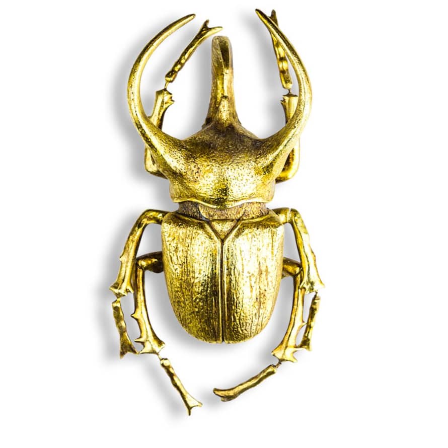 &Quirky Extra Large Gold Beetle Wall Decoration