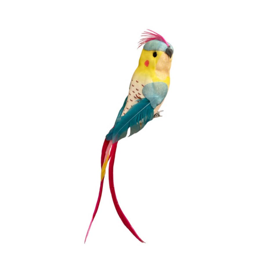 Petra Boase Artificial Bird Decoration Clip On Bright Finch