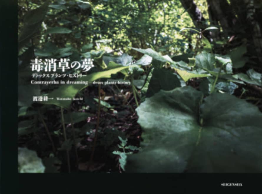 Seigensha Watanabe Koichi: Contrayerba In Dreaming - Detox Plants-history
