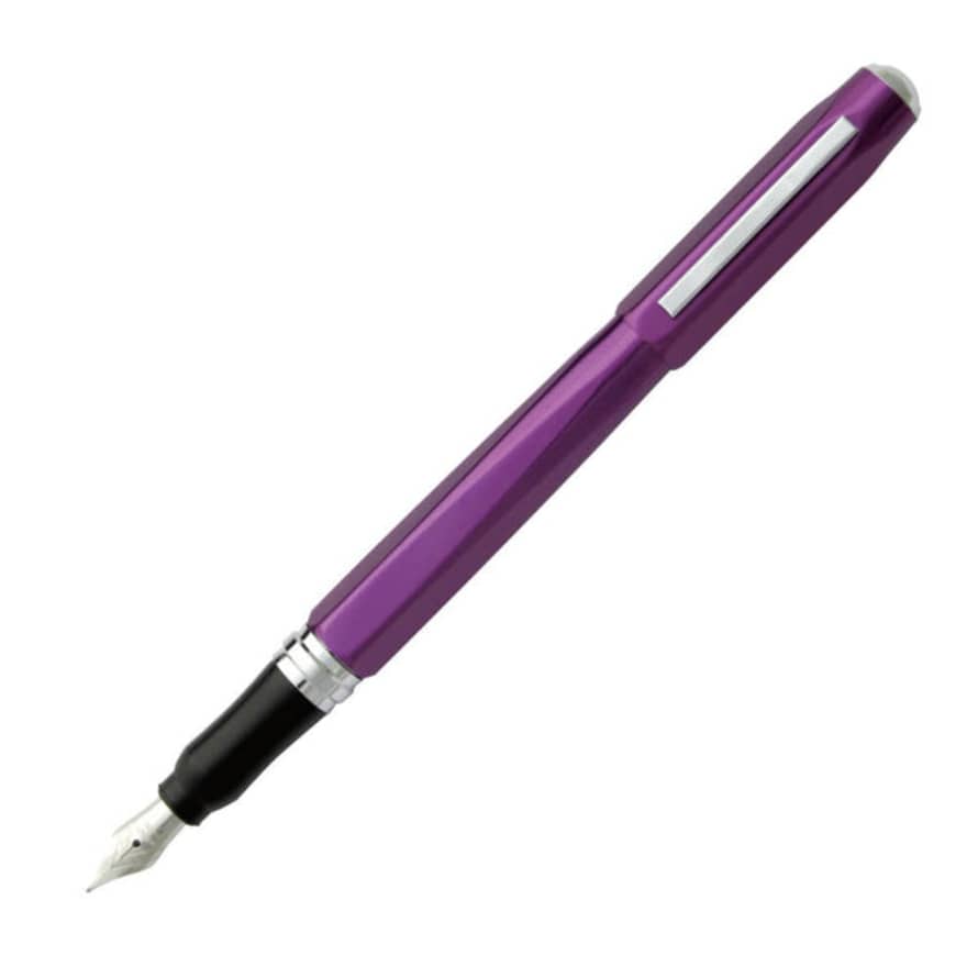 Ohto Dude Fountain Pen Purple