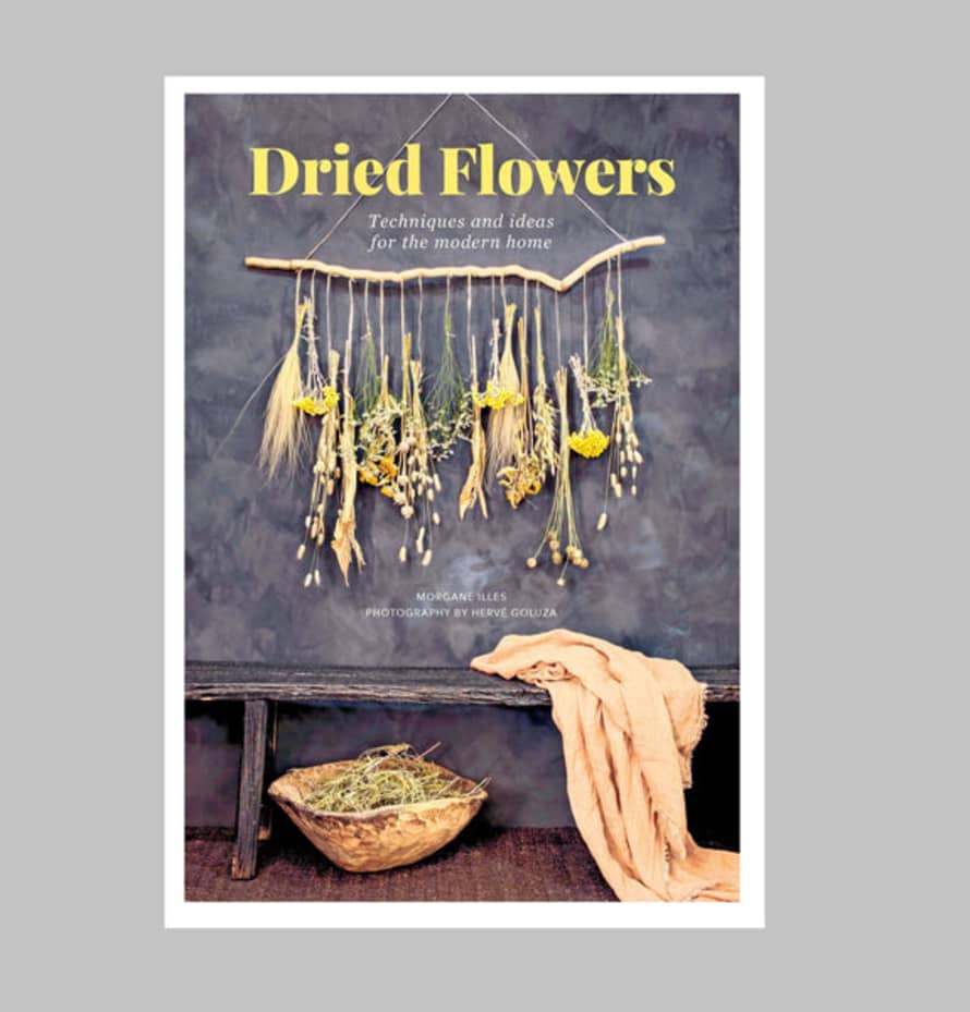 Morgane Illes Dried Flowers: Techniques And Ideas For The Modern Home