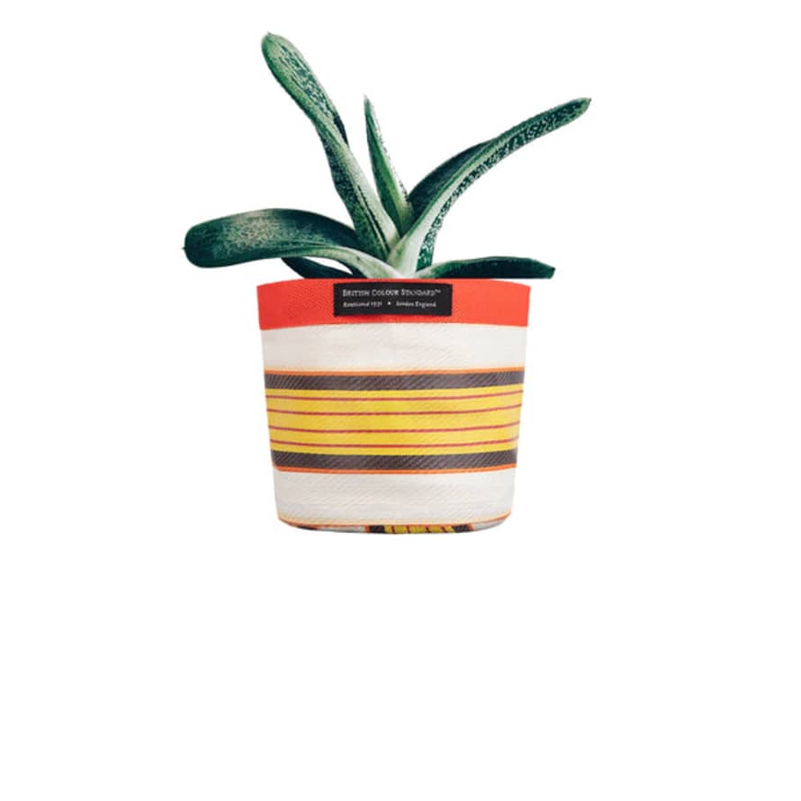 British Colour Standard Stripy Plant Pot Cover - Small Yellows