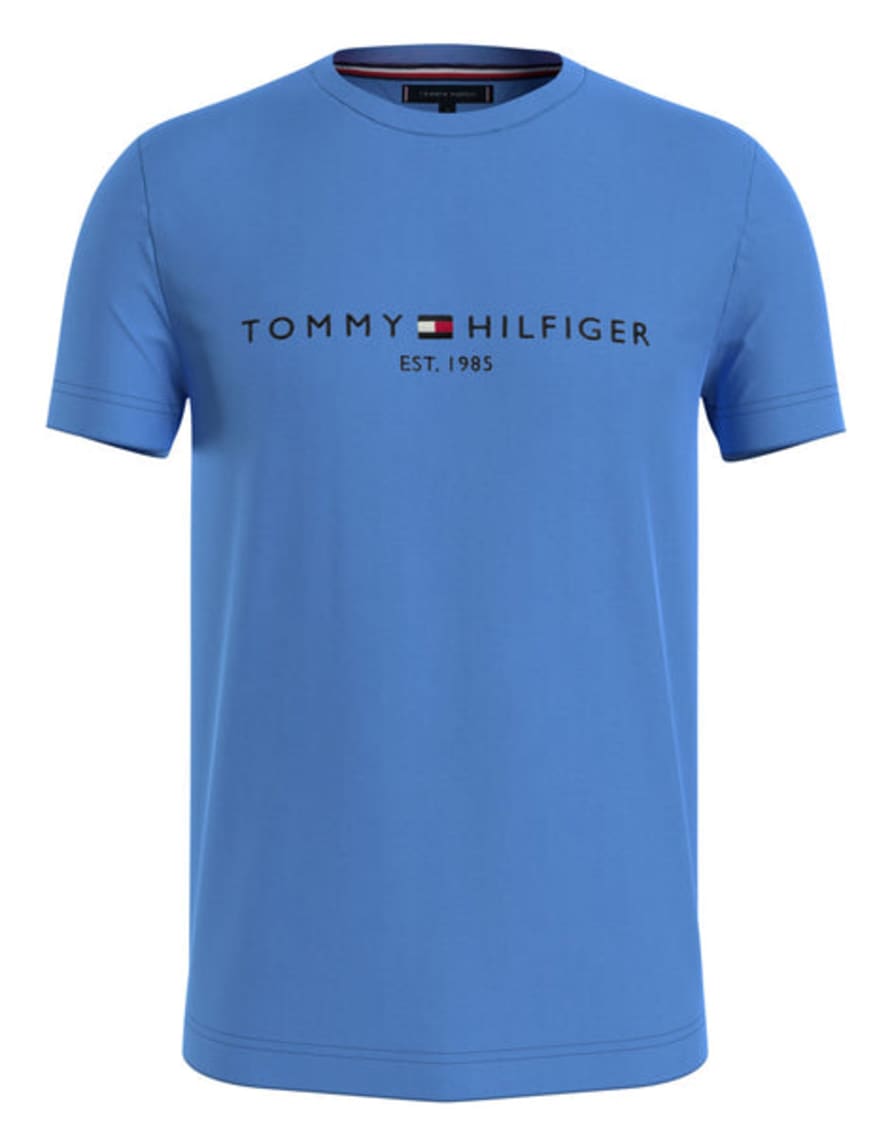 Tommy Hilfiger T-Shirt For Man Mw0mw11797 C30
