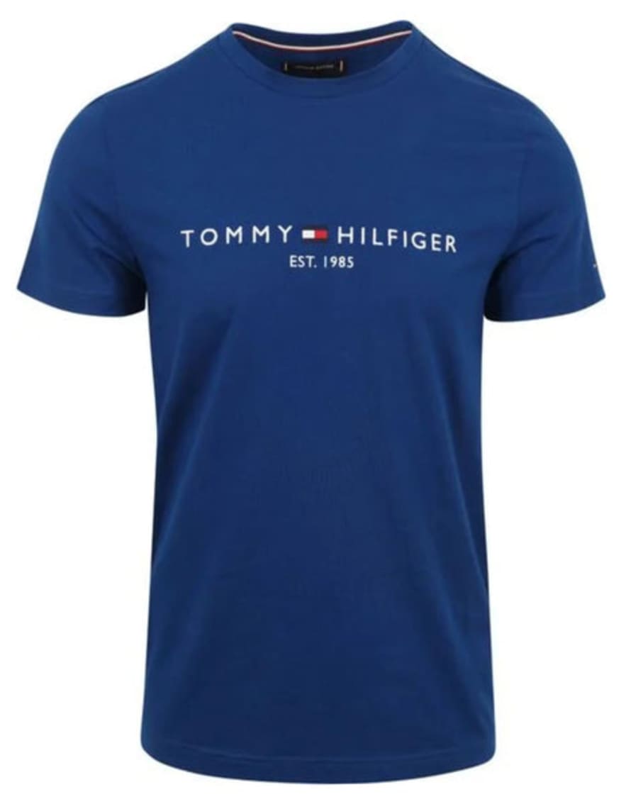 Tommy Hilfiger T-Shirt For Man Mw0mw11797 C5j