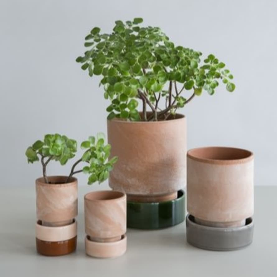 Bergs Potter Pot / 8 cm / Raw  Terracotta Plant Pot & Saucer In Soft Rose